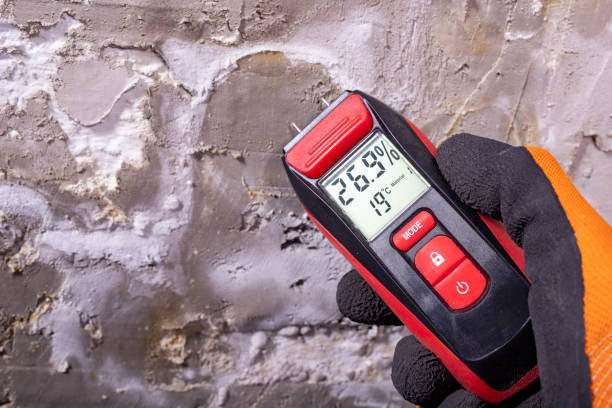 Best Bathroom Mold Remediation in Pierz, MN